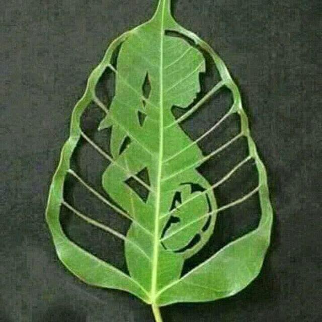 GYAESU HERBAL CLINIC